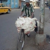 Transporte 21.jpg